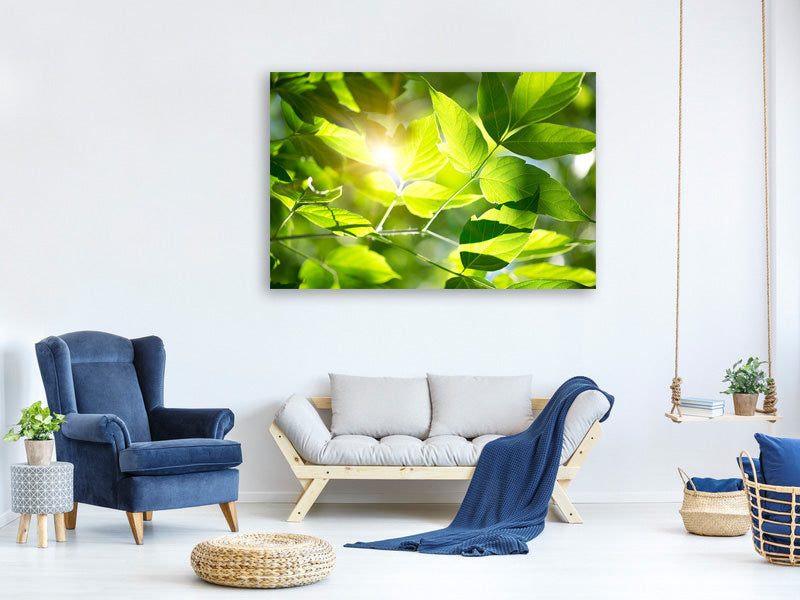 4-piece-canvas-print-go-green