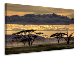 modern-3-piece-canvas-print-good-evening-tanazania