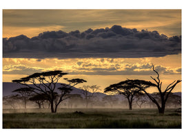 modern-3-piece-canvas-print-good-evening-tanazania