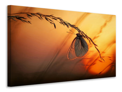 3-piece-canvas-print-good-night