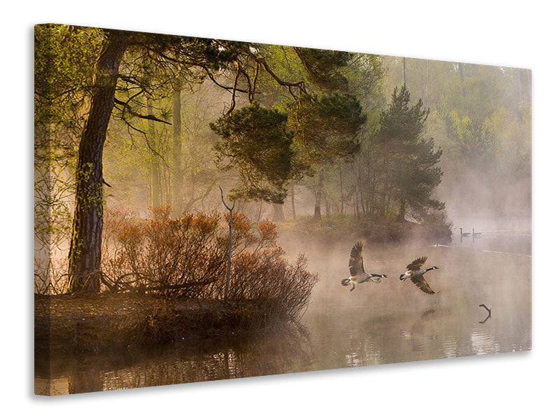 modern-4-piece-canvas-print-goose-fight