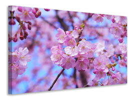 4-piece-canvas-print-gorgeous-cherry-blossom