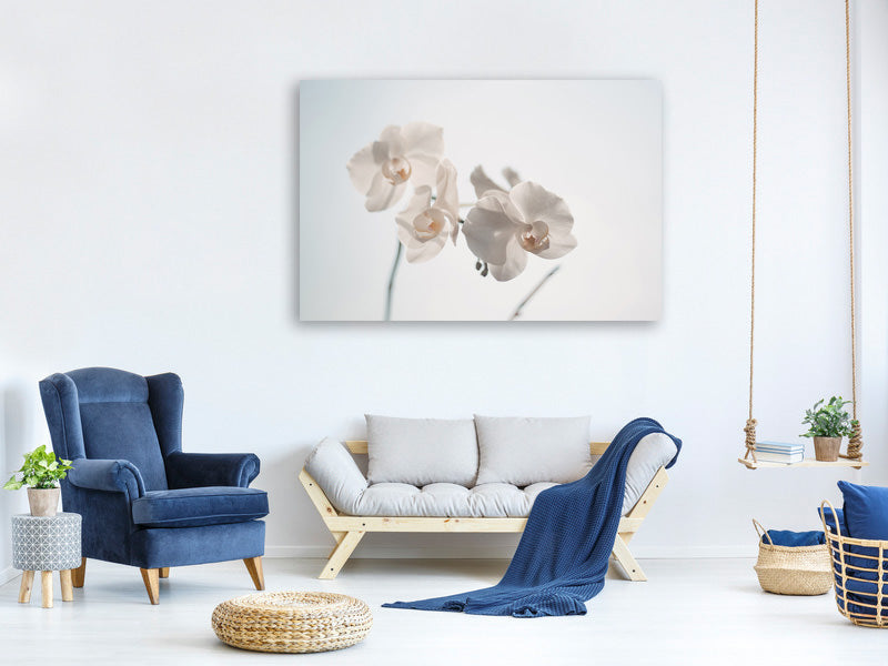5-piece-canvas-print-graceful-orchids
