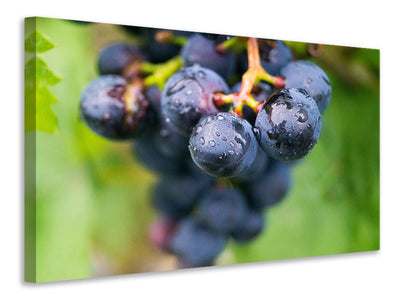 3-piece-canvas-print-grapes