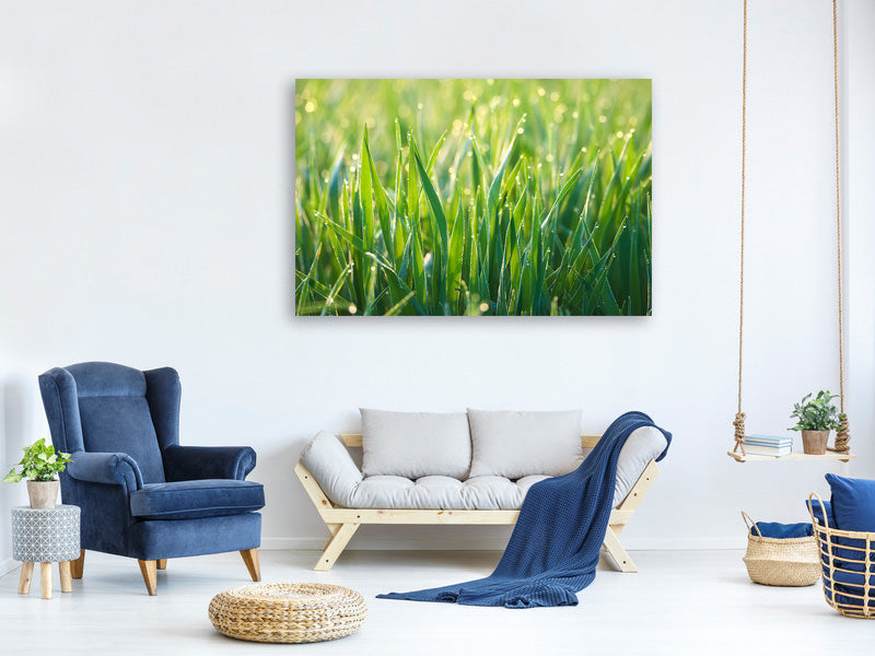 4-piece-canvas-print-grass-with-morning-dew-xl