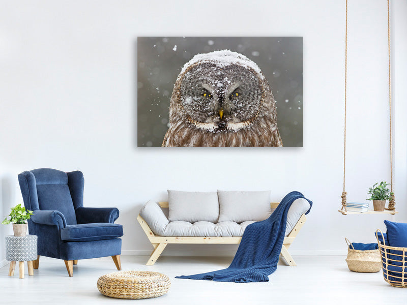 panoramic-3-piece-canvas-print-great-grey-owl-winter-portrait