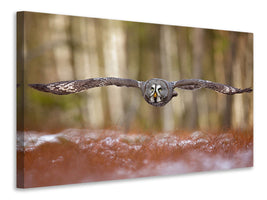 modern-3-piece-canvas-print-great-grey-owl