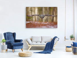panoramic-3-piece-canvas-print-great-grey-owl