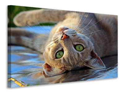 3-piece-canvas-print-green-eye