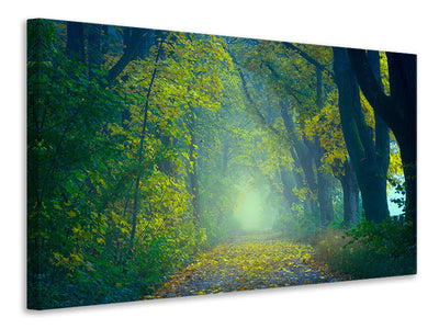 modern-3-piece-canvas-print-green-forest