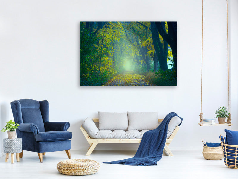 5-piece-canvas-print-green-forest