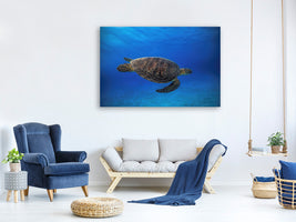 modern-4-piece-canvas-print-green-turtle-in-the-blue
