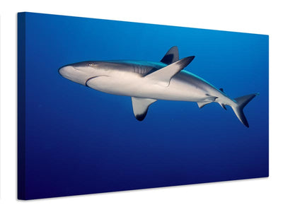 canvas-print-shark-in-the-dark-sea