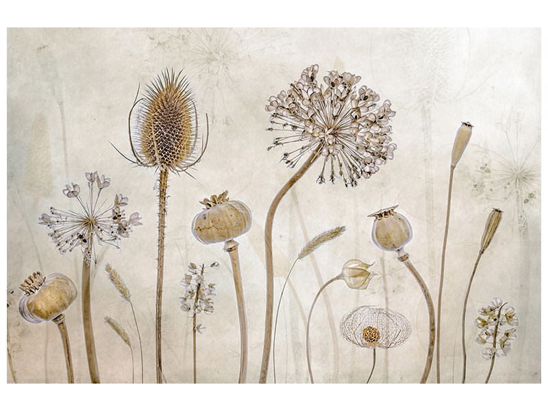 5-piece-canvas-print-growing-old