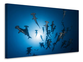 canvas-print-hammerhead-sharks-in-the-light