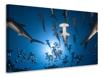 modern-4-piece-canvas-print-hammerhead-shark