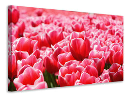 panoramic-canvas-print-happy-tulip-field