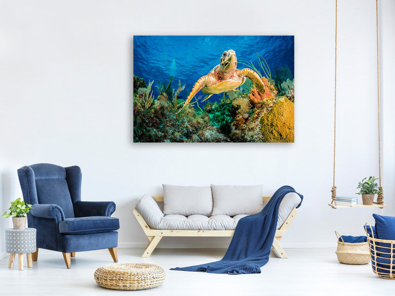 3-piece-canvas-print-turtle-in-the-reef