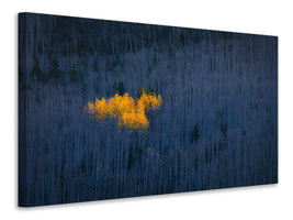 modern-3-piece-canvas-print-heart-of-aspens