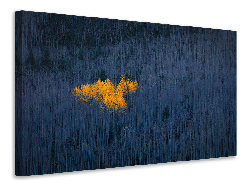 4-piece-canvas-print-heart-of-aspens