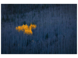 3-piece-canvas-print-heart-of-aspens