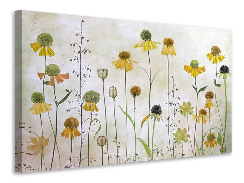 3-piece-canvas-print-helenium