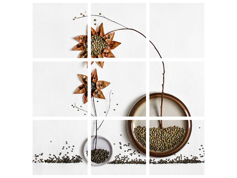 canvas-print-herbarium