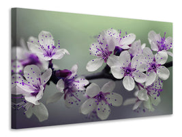 4-piece-canvas-print-heyday