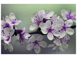 4-piece-canvas-print-heyday