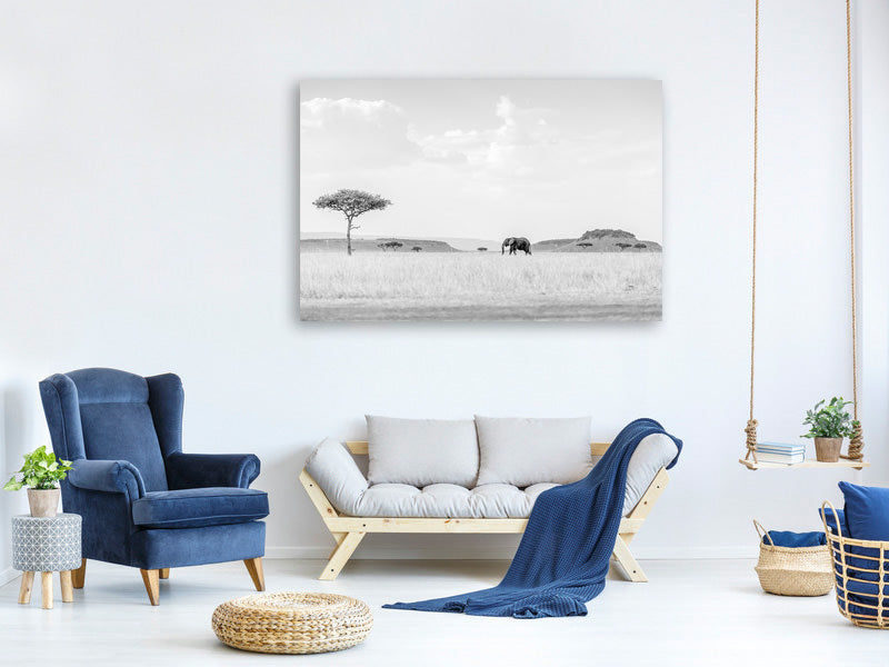 4-piece-canvas-print-high-key-savannah