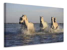 3-piece-canvas-print-horses-in-the-sea