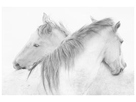 panoramic-canvas-print-horses