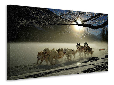 3-piece-canvas-print-huskies