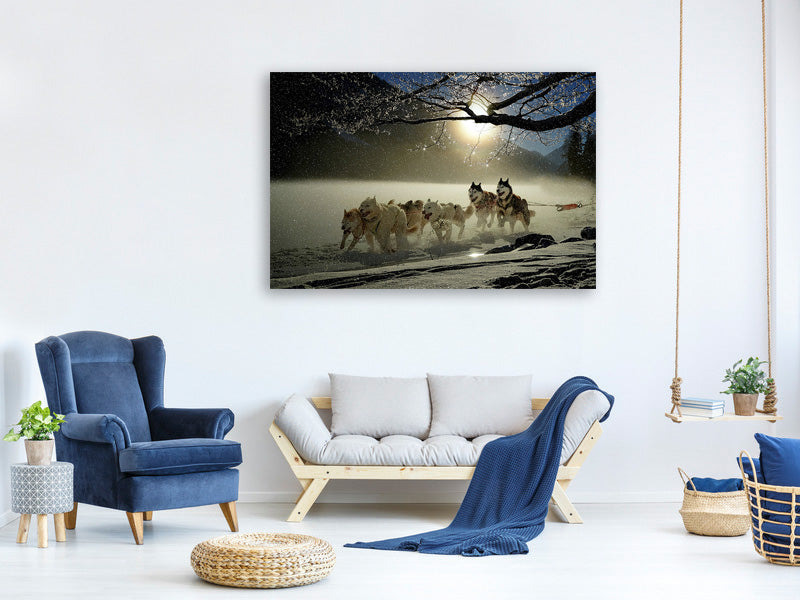 3-piece-canvas-print-huskies