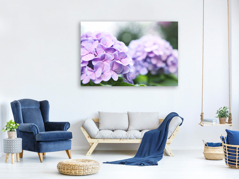 modern-4-piece-canvas-print-hydrangeas