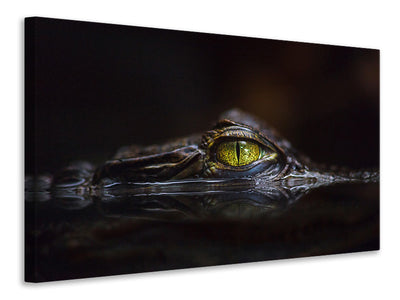 panoramic-3-piece-canvas-print-hypnotic
