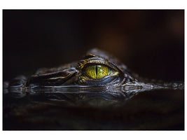 panoramic-3-piece-canvas-print-hypnotic
