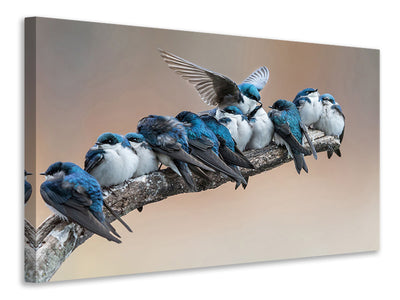 modern-4-piece-canvas-print-i-will-make-myself-some-room