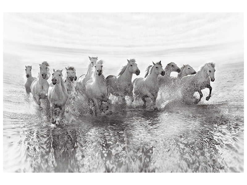 panoramic-canvas-print-illusion-of-power