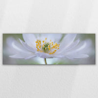LW-120P040