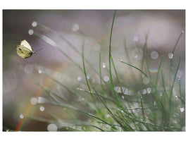 panoramic-canvas-print-imminent-landing