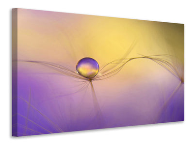 panoramic-3-piece-canvas-print-in-arms