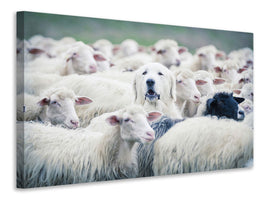 panoramic-3-piece-canvas-print-in-disguise