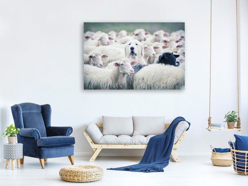 3-piece-canvas-print-in-disguise