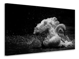 panoramic-canvas-print-in-motion
