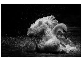 panoramic-canvas-print-in-motion