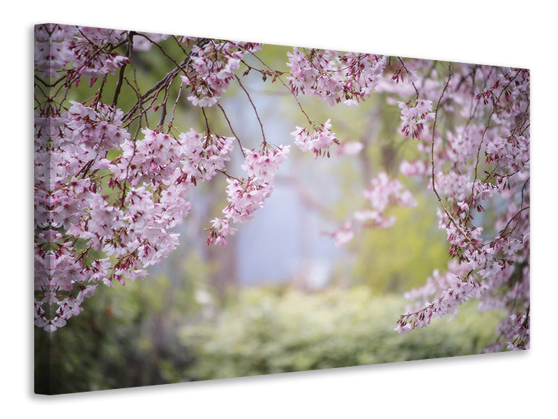 5-piece-canvas-print-in-the-beautiful-spring