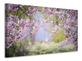 modern-3-piece-canvas-print-in-the-beautiful-spring