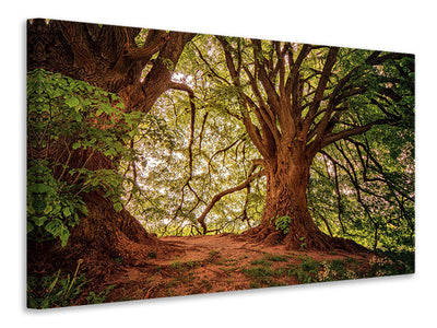 modern-3-piece-canvas-print-in-the-dense-forest