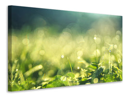 panoramic-3-piece-canvas-print-in-the-meadow
